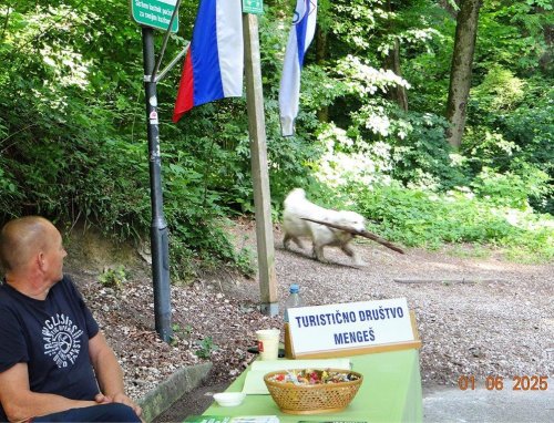 Stiri nozni obiskovalec steze.jpg